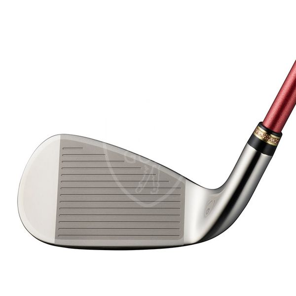 Женский набор для гольфа, Ladies Premium Set, Prime XXIO, в графити 5-9 + A, P, S 120004 фото
